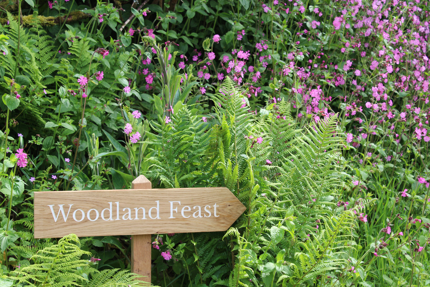 Country Lane Wooden Wedding Signage